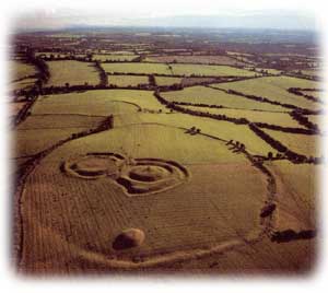 The Hill of Tara from the air