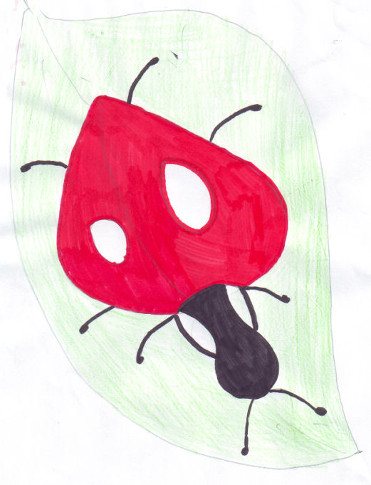 Ladybird by Lisa