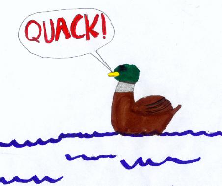 Duck by Alex