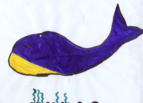 Whale by Barbara