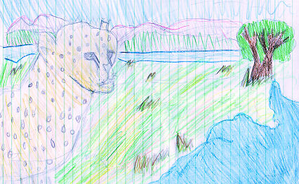 Cheetah by Nicole