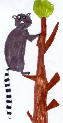 Lemur by Reece