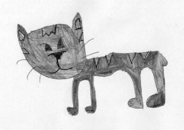 Lynx by Sam