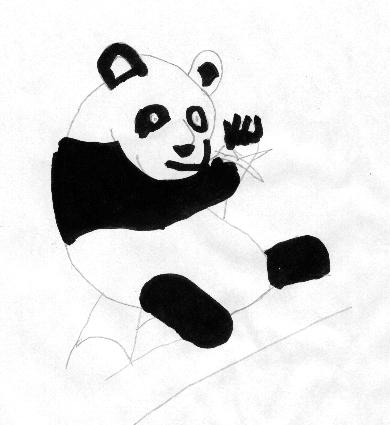 Panda by Stephen