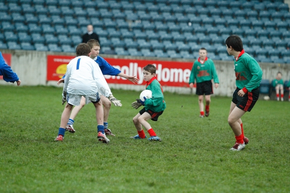 Parnell Park 2006