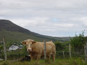 Derrylahan Hostel Kilcar Donegal