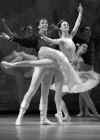Ballet Through The Lens - The Full Book 018.jpg (483624 bytes)