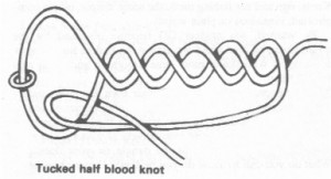 tucked blood knot