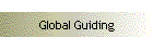 Global Guiding
