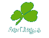 aerlingus.gif (2784 bytes)