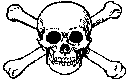 skull.gif (850 bytes)