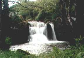 Poulanassy Waterfall, County Kilkenny