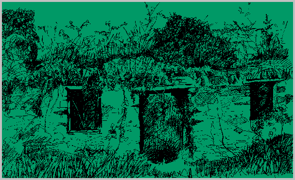 Biddy's cottage as it stands today