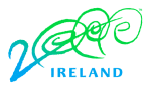 2000 Ireland logo