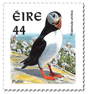 Puffin