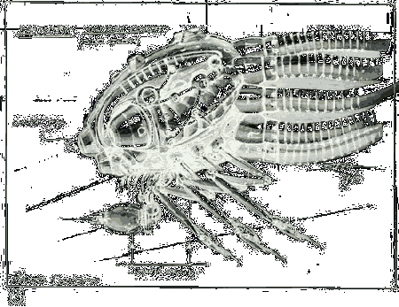 A concept sketch of the Sentinel Robot