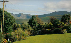 View from front of Farmstead Lodge B&B