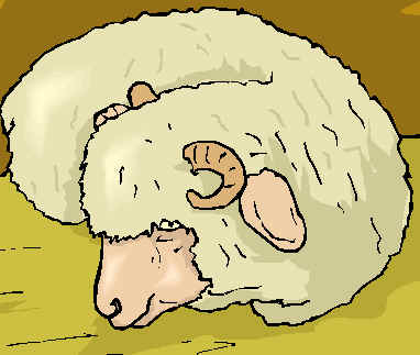 sheep.bmp (370858 bytes)