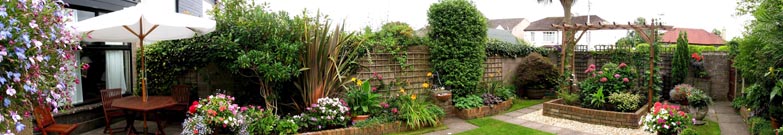 Panoramic view of the eastern side of my garden