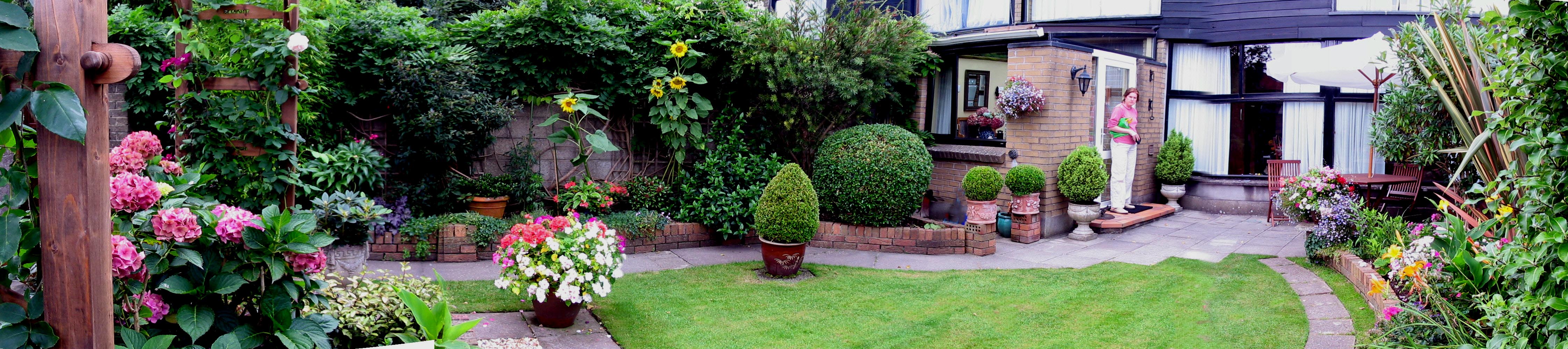 Panoramic view of the western side of my garden