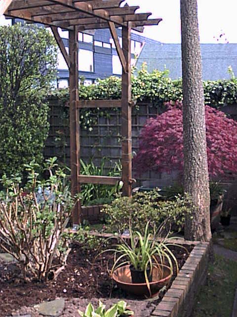 Photograph of a pergola that I built over the peat raised bed