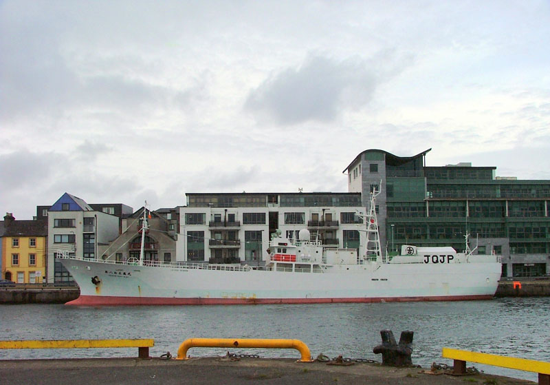 Shoshin Maru No. 80