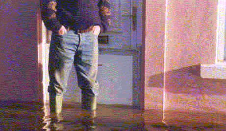 floodview.gif (60005 bytes)
