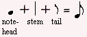 head, stem & tail