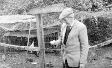 Pic of Bantams have...
