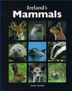 Ireland's mammals