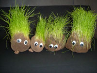 Four Grass Heads