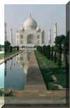 India-Nice view of the Taj Mahal - Agra.jpg (11180 bytes)