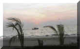 India-Sunset - Goa.jpg (9256 bytes)
