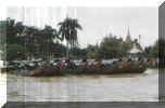 Thailand-River Taxi's on the Chao Phraya River .jpg (13070 bytes)