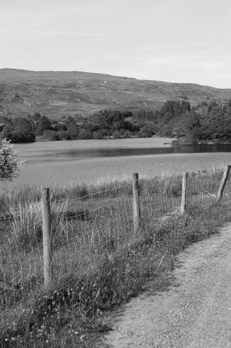 Gougane Barra (4)