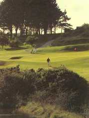 Cork Golf Club