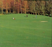 Mallow Golf Club