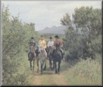 Horse
 Riding at Strandhill