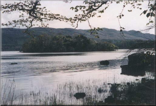 Lough Gill, showing
Wolf Island