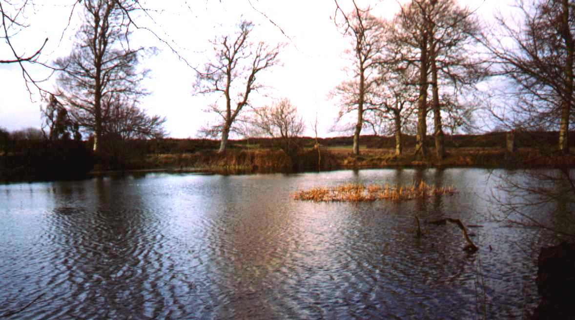 The Pond in Heath House