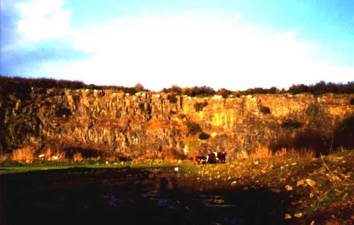 Kilmurry quarry