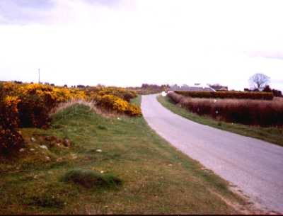 A typical Heath road.