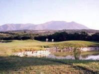 Estepona golf course