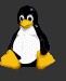 Linux Logo