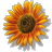 Pasted Graphic 7