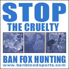 Stop the cruelty - ban fox hunting