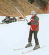 Ski11.jpg (27452 bytes)