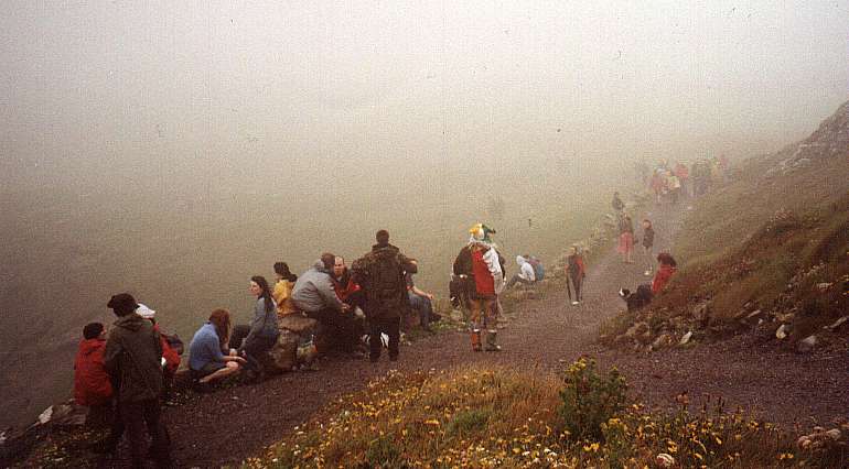 A misty walk