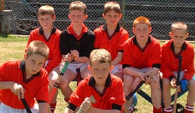 Mountshannon School Hurling team June 2004