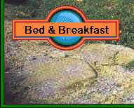 Bed & breakfast